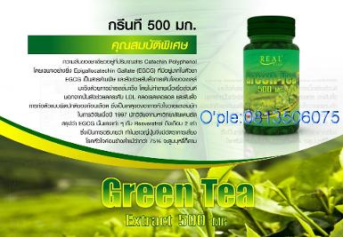 Green Tea Plus 500mg