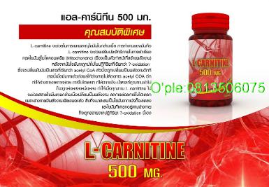 แอลคาร์นิทีน 500มก.เร่งการเผาผลาญไขมันในร่างกาย นำไขมันเก่ามาเปลี่ยนเป็นพลังงาน